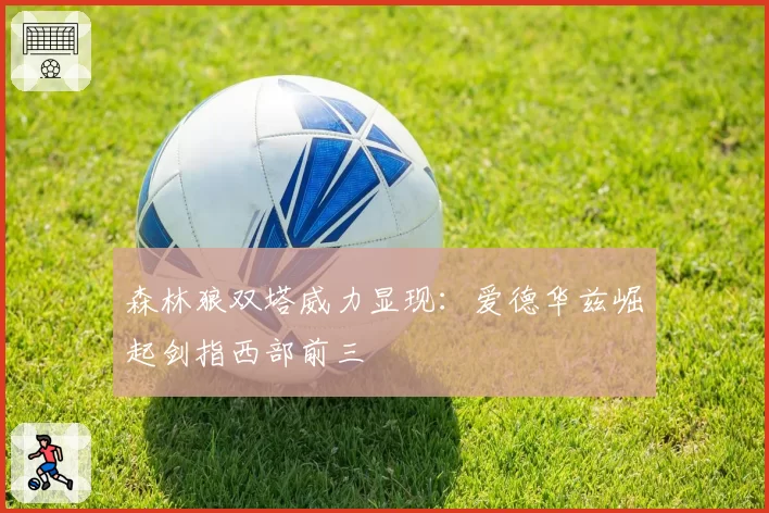 森林狼双塔威力显现：爱德华兹崛起剑指西部前三