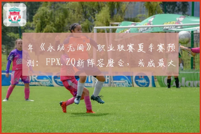 年《永劫无间》职业联赛夏季赛预测:FPX.ZQ新阵容磨合,或成最大黑马