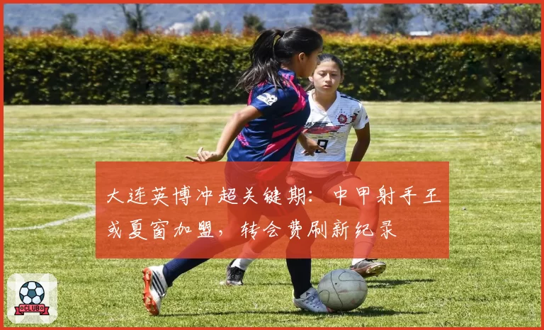 大连英博冲超关键期:中甲射手王或夏窗加盟,转会费刷新纪录